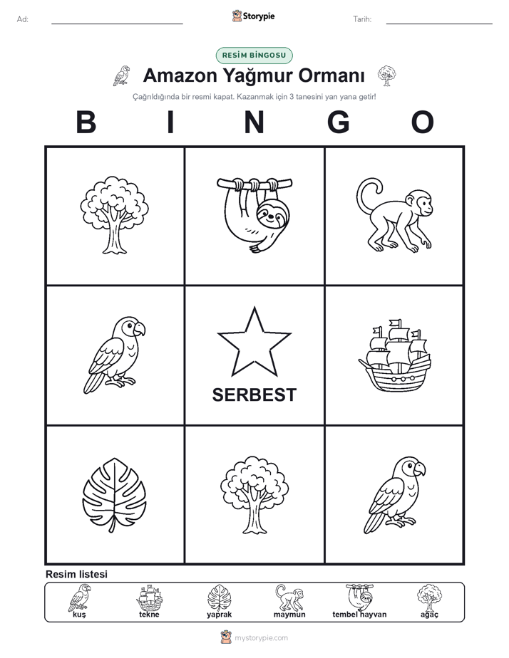 Resim Bingo
