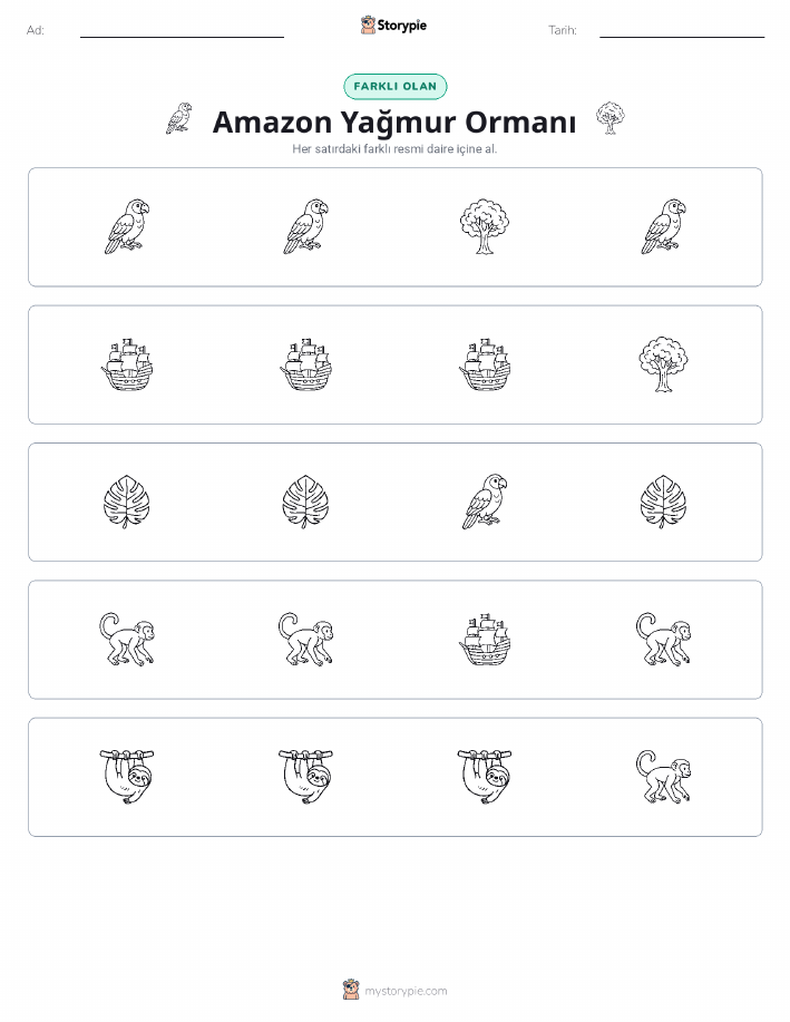 Farklı Olanı Bul