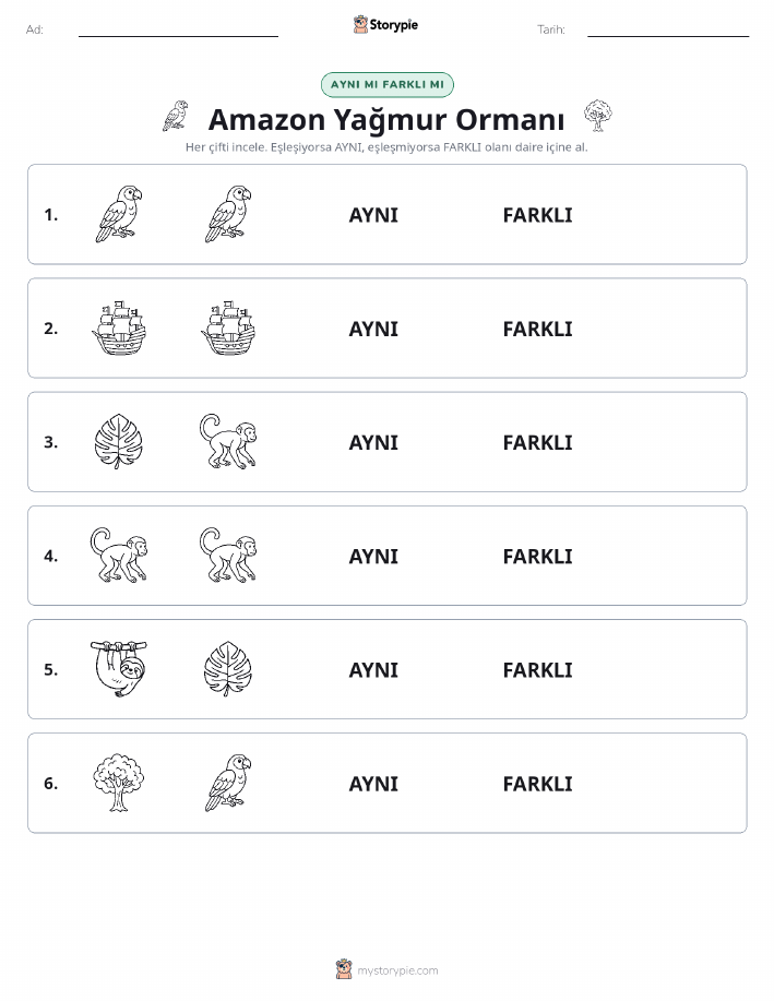 Aynı mı Farklı mı