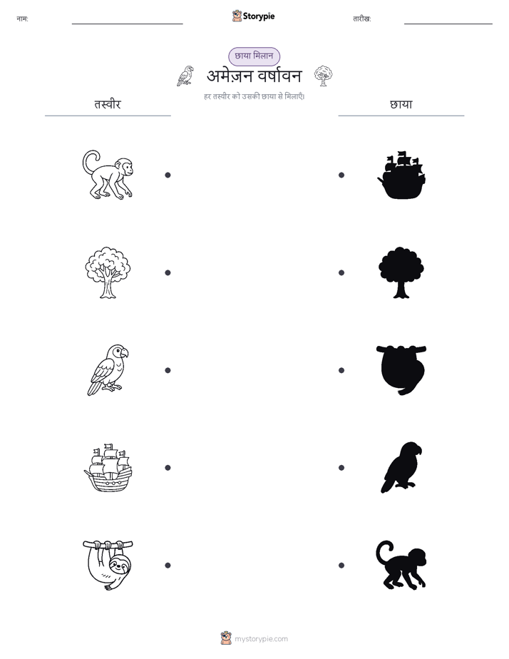 छाया मिलान