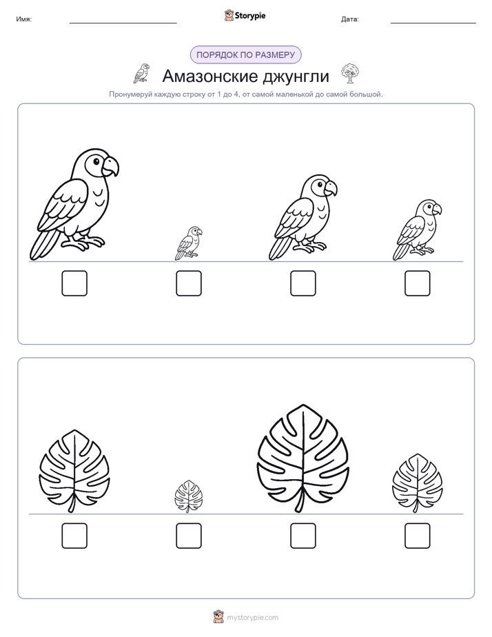 Размеры в порядке