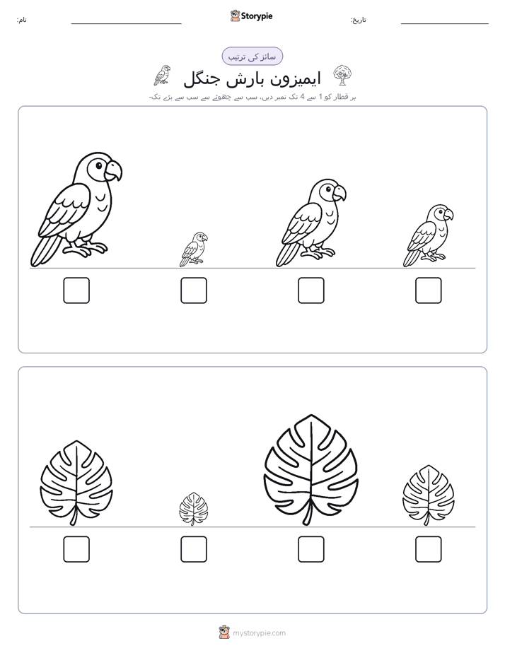 سائز کی ترتیب