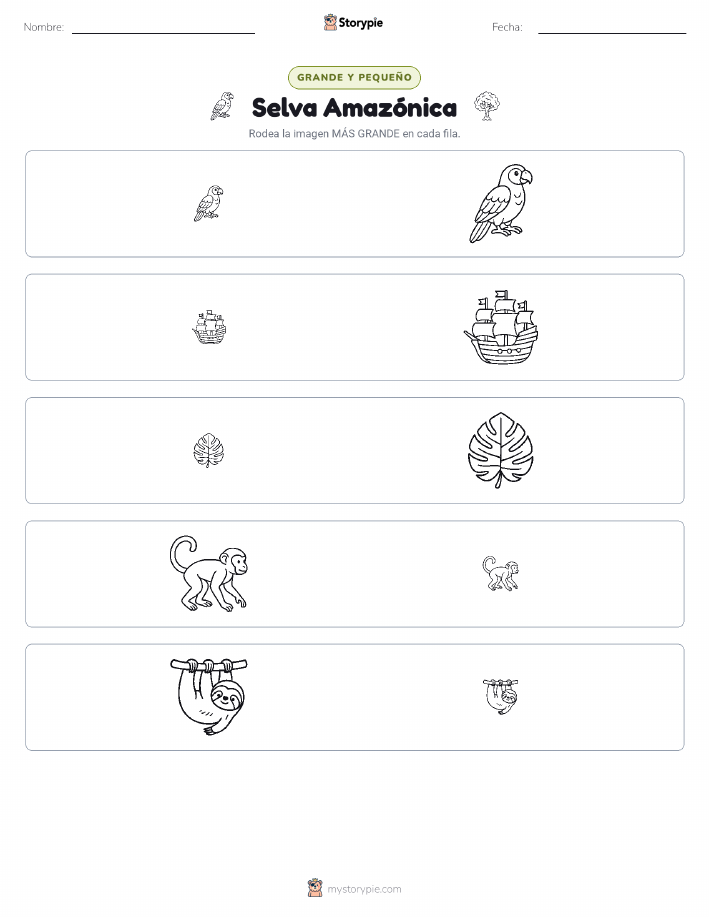 Clasificación