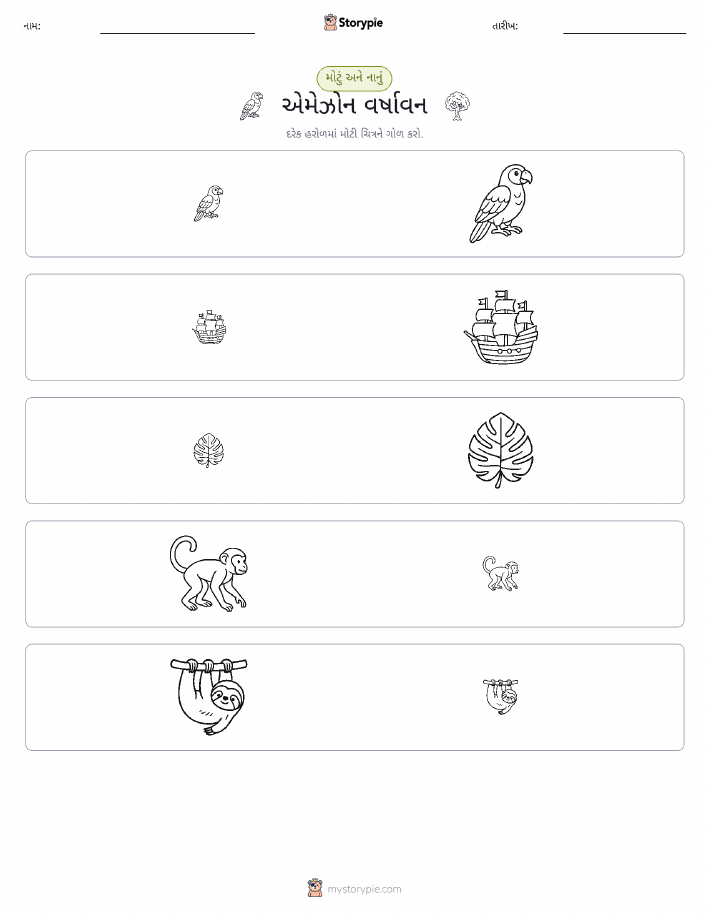 વર્ગીકરણ