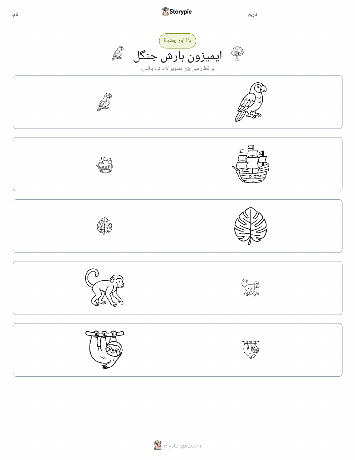ترتیب دینا