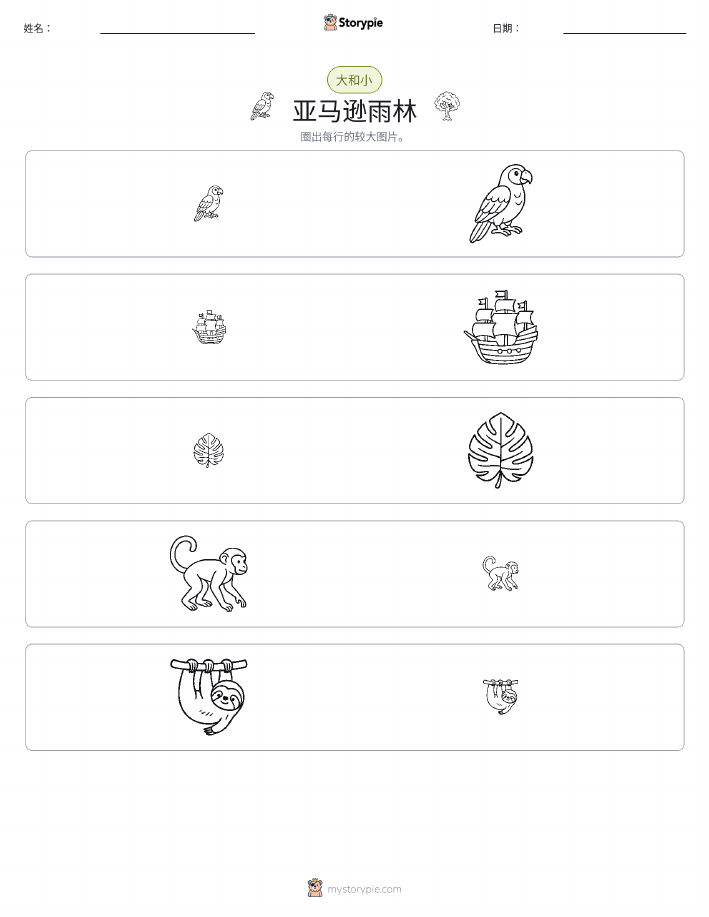分类