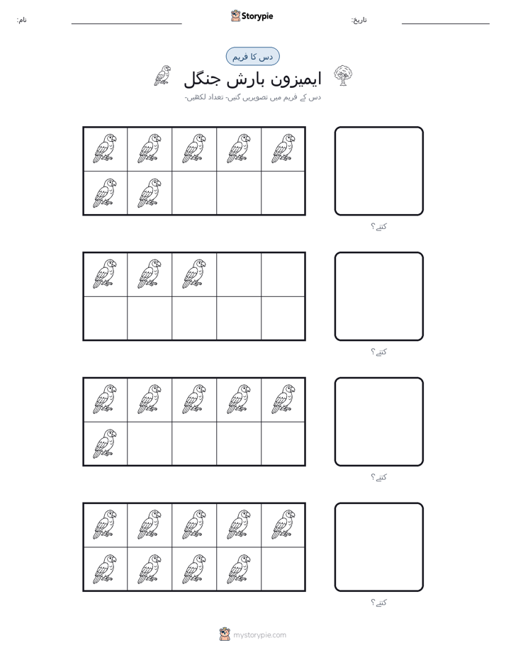 دس کا فریم