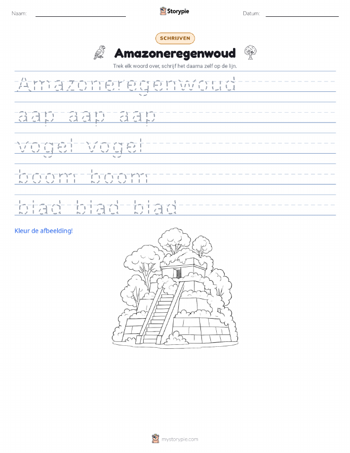 Schrijf Oefening