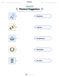 Anteprima della scheda stampabile di Piccione Viaggiatore