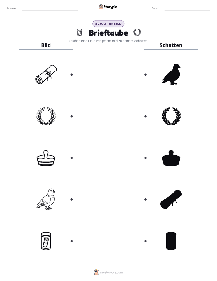 Schattenmatch