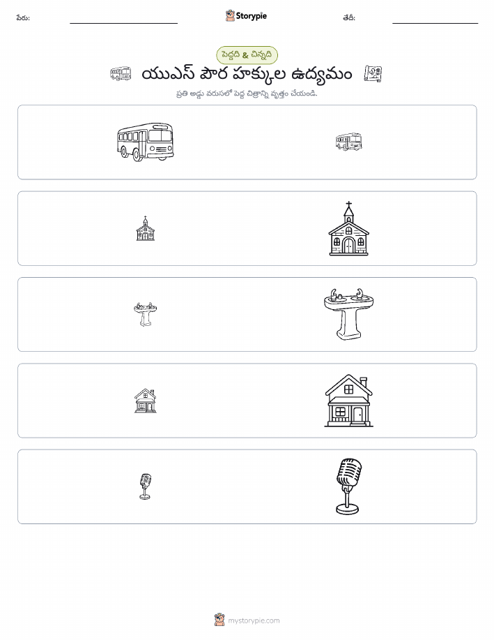 వర్గీకరణ