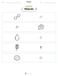 Molecule printable worksheet preview
