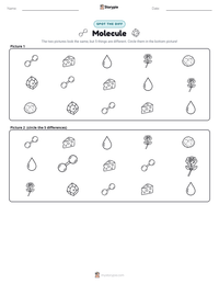 Molecule printable worksheet preview