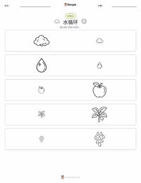 水循环 可打印工作表预览
