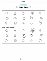 Water Cycle printable worksheet preview