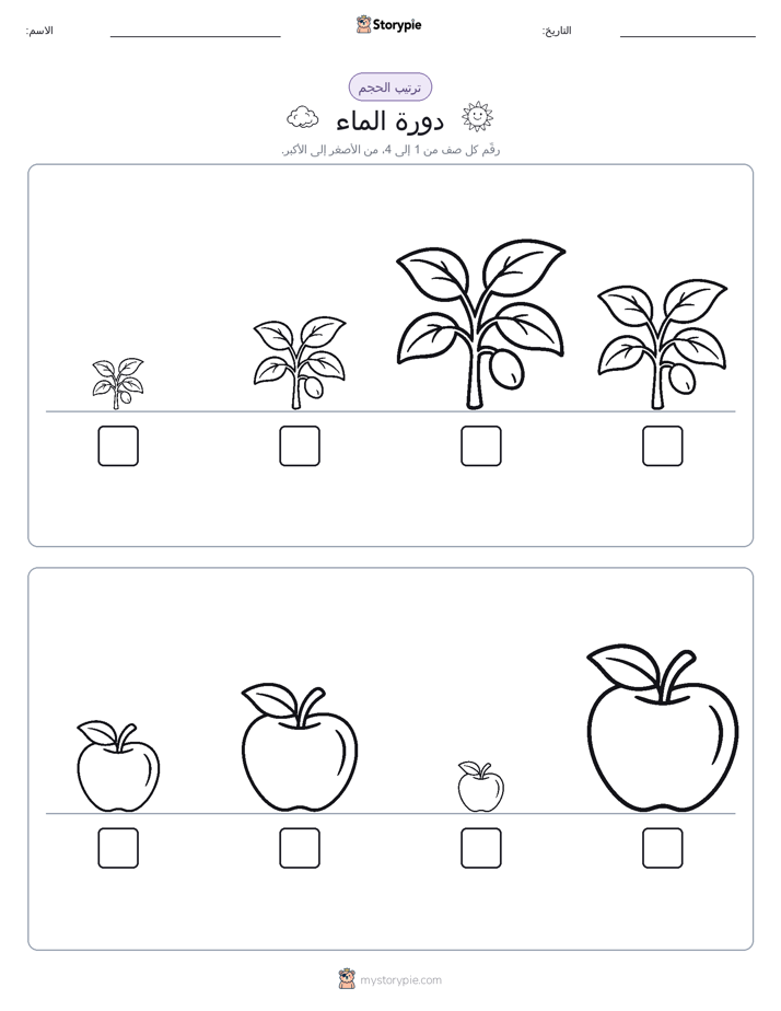ترتيب الحجم
