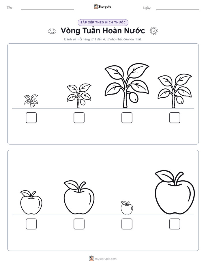 Thứ Tự Kích Thước