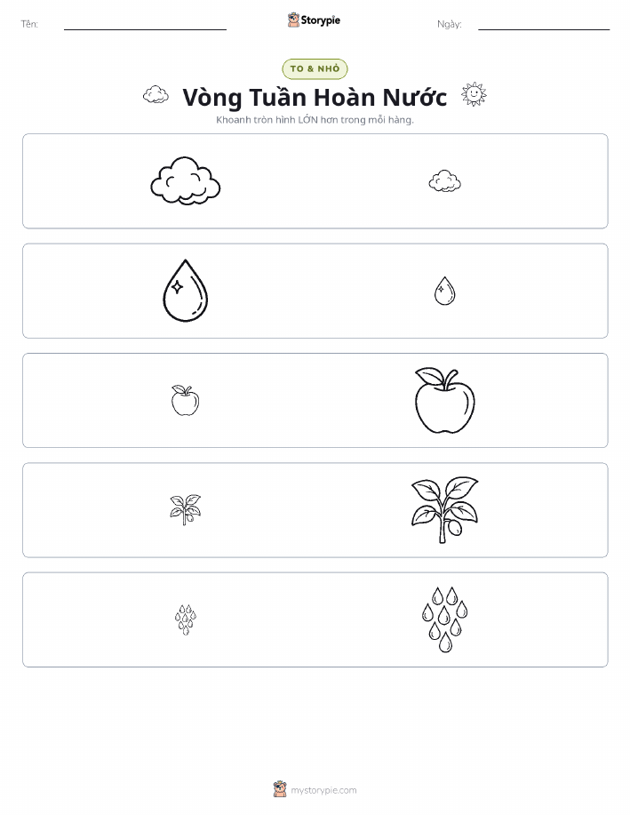Phân Loại