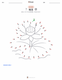 睡莲 可打印工作表预览