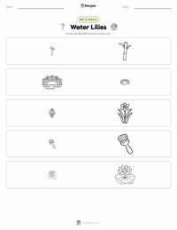 Water Lilies printable worksheet preview