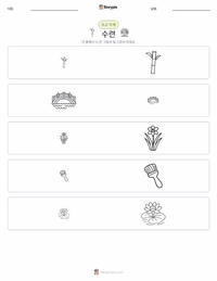 수련 인쇄 가능한 워크시트 미리보기