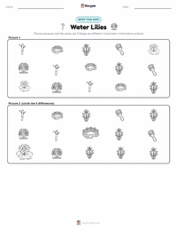 Water Lilies printable worksheet preview