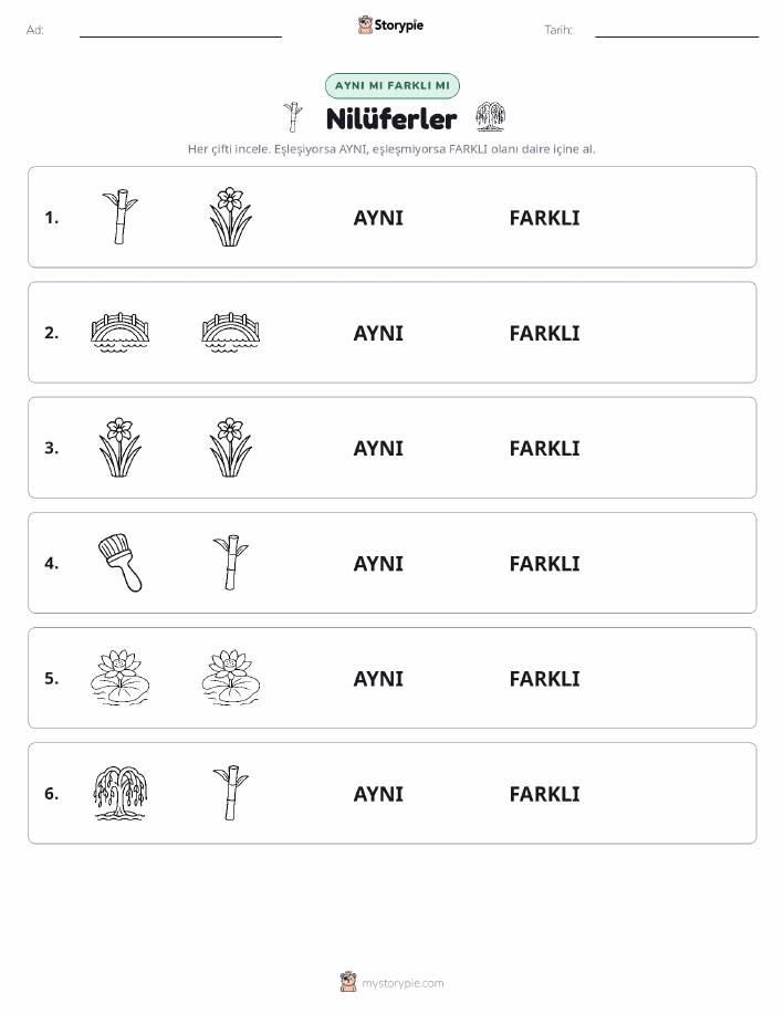 Aynı mı Farklı mı