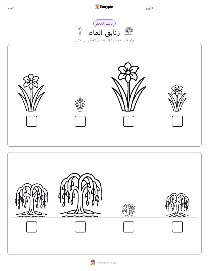 ترتيب الحجم