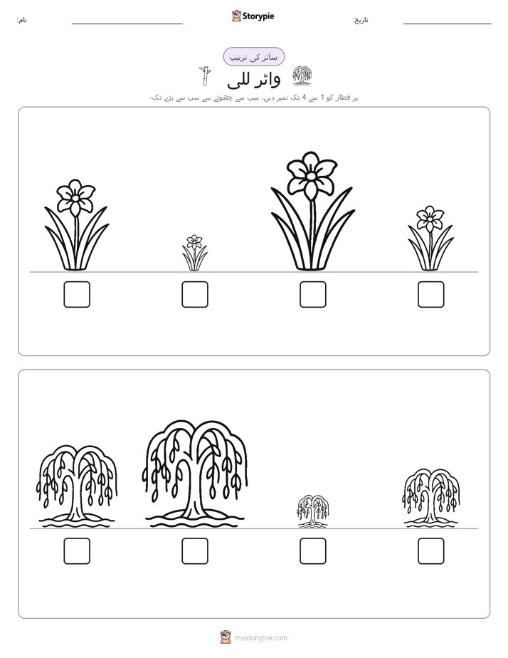 سائز کی ترتیب
