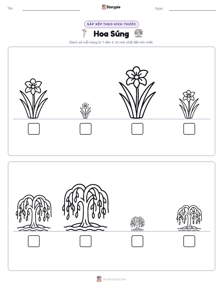 Thứ Tự Kích Thước