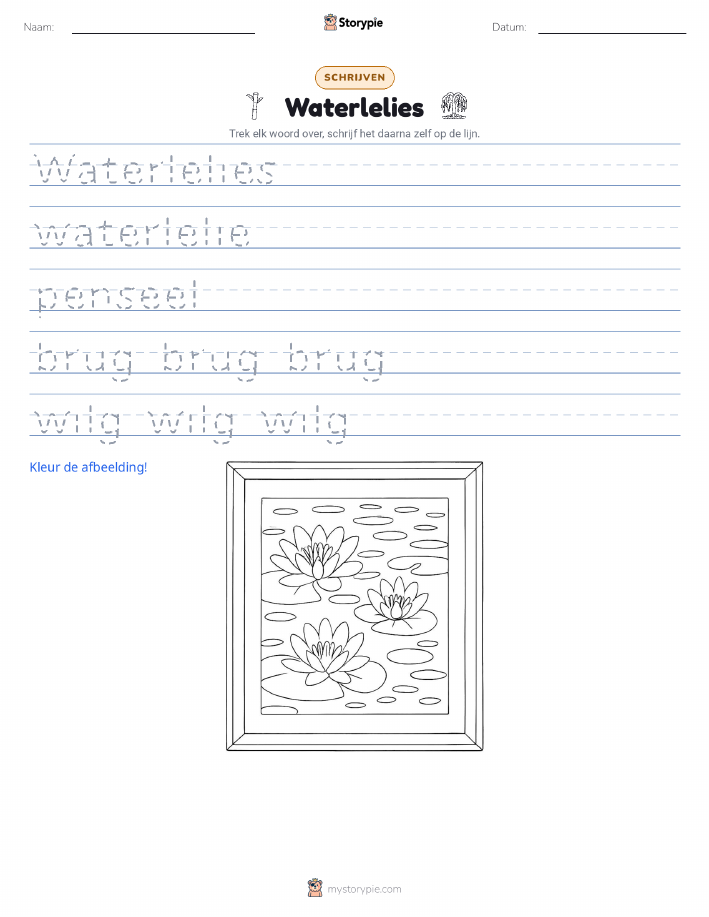 Schrijf Oefening