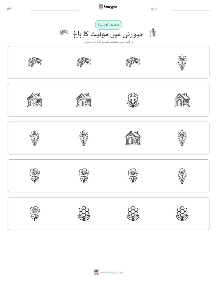 عجیب ایک