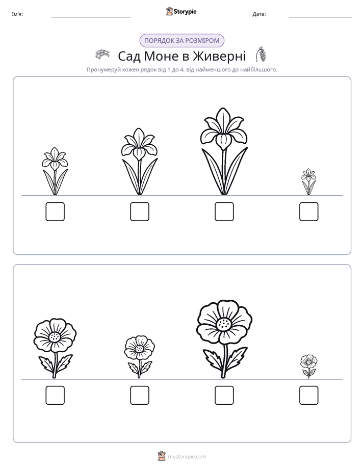 Порядок Розміру