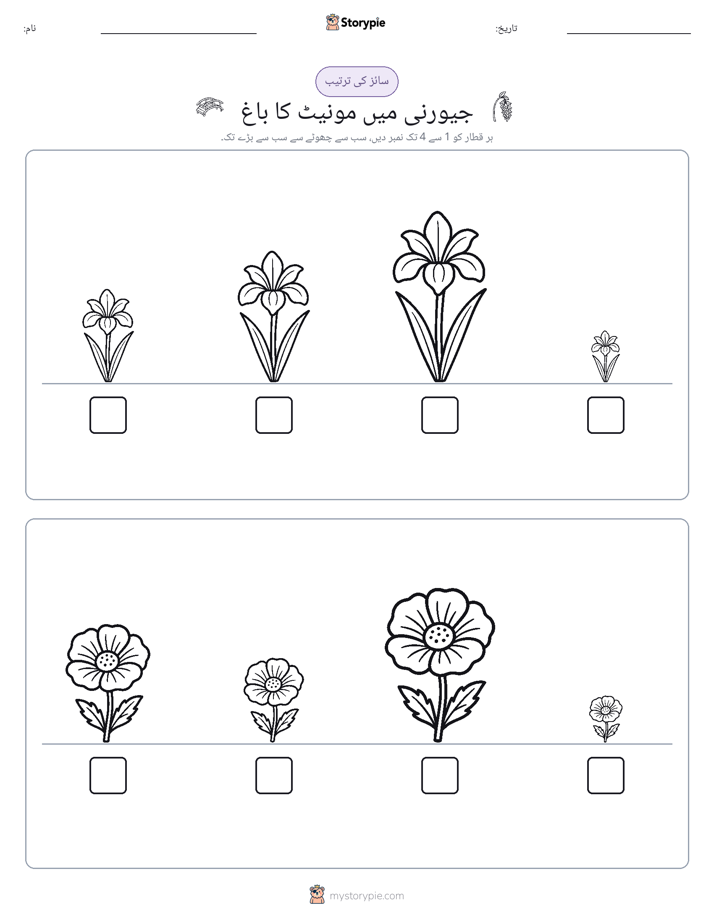 سائز کی ترتیب