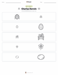 Charles Darwin printable worksheet preview