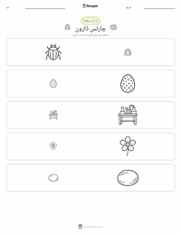 چارلس ڈارون پرنٹ کرنے کے قابل ورکشیٹ کا پیش نظارہ
