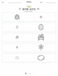 查尔斯·达尔文 可打印工作表预览