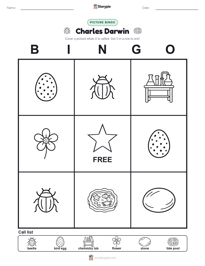 Picture Bingo