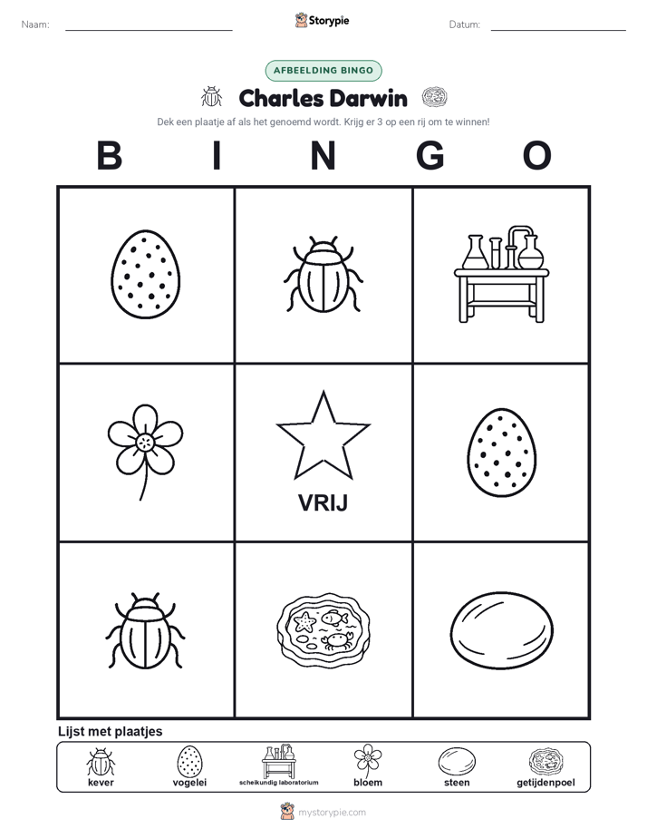 Afbeelding Bingo