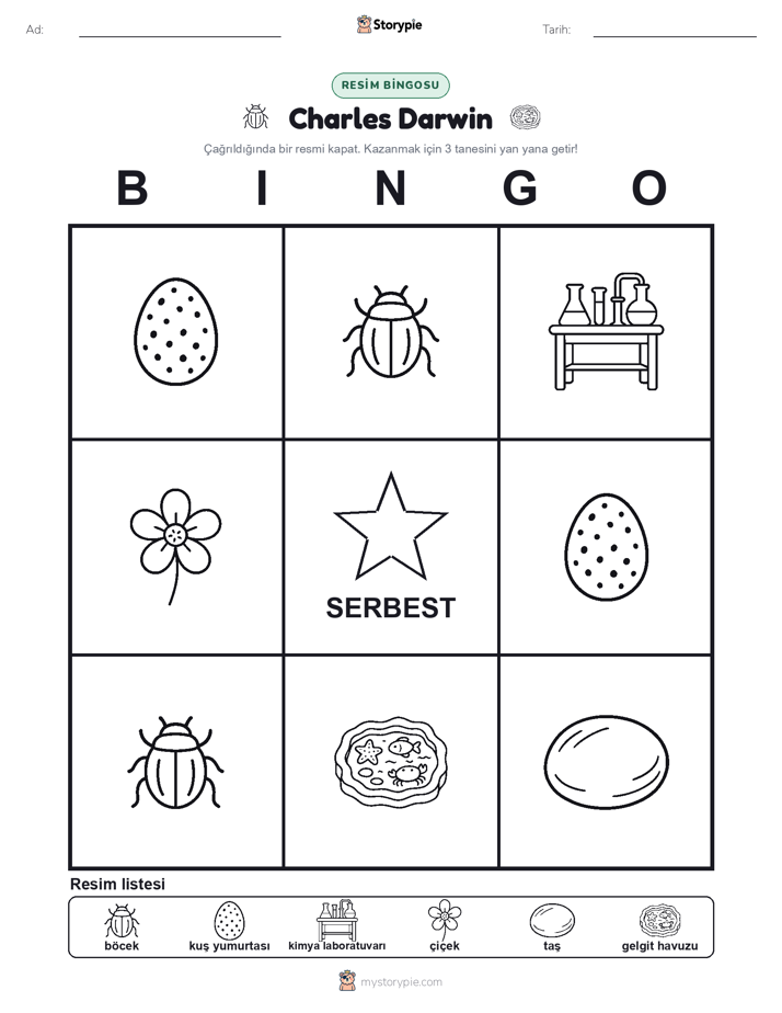 Resim Bingo