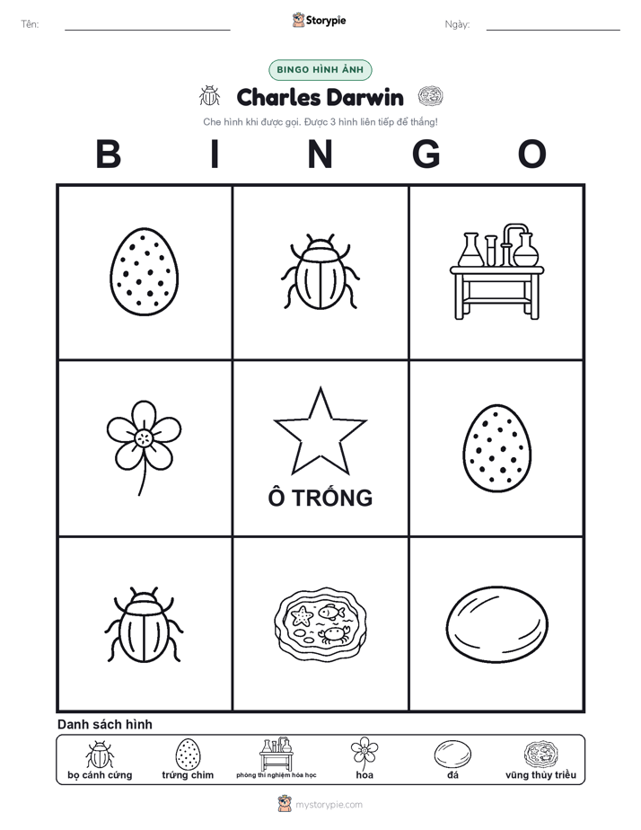 Bingo Hình Ảnh