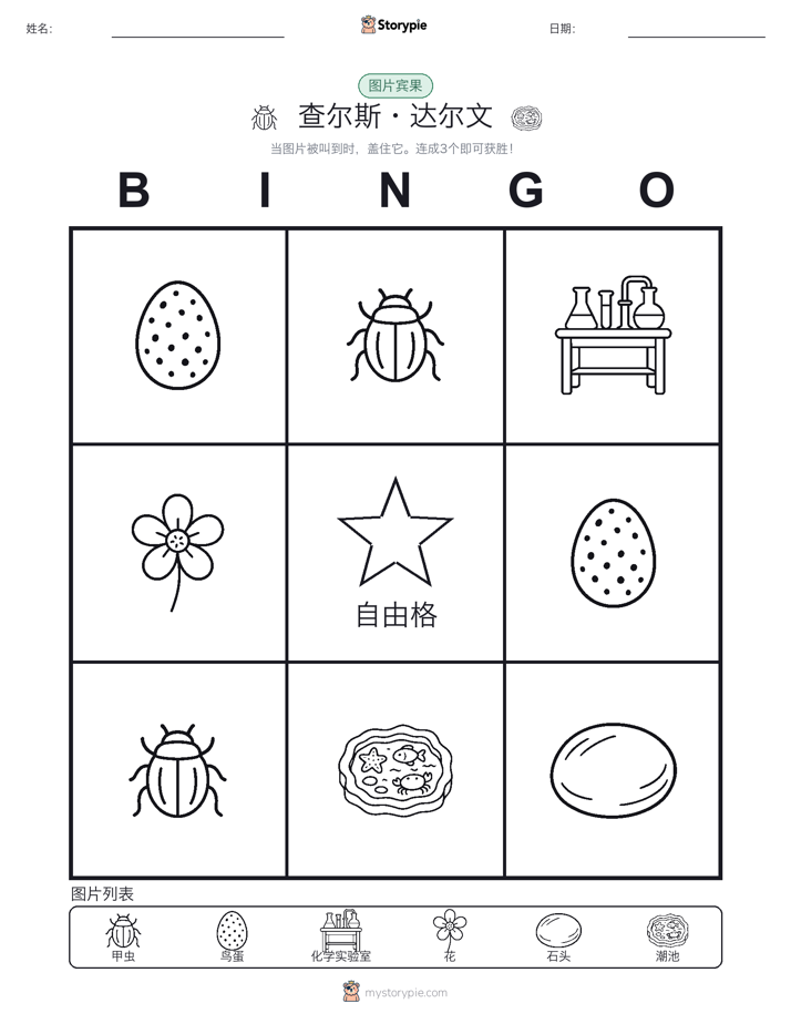 图片宾果