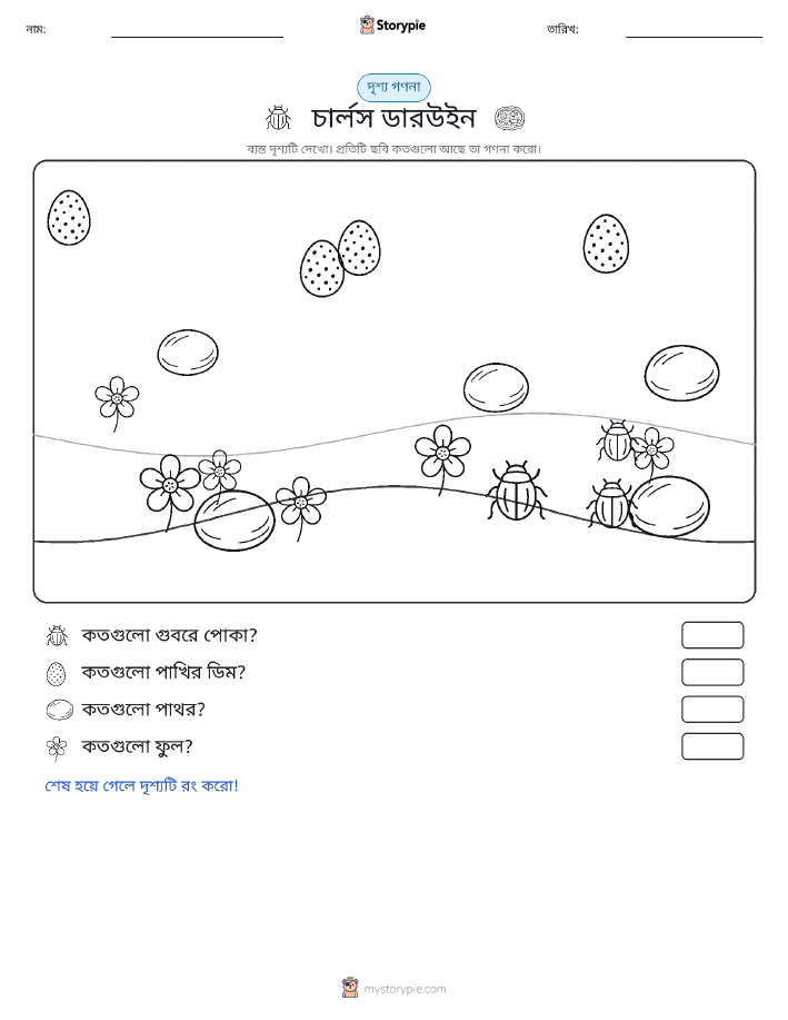 গণনা দৃশ্য