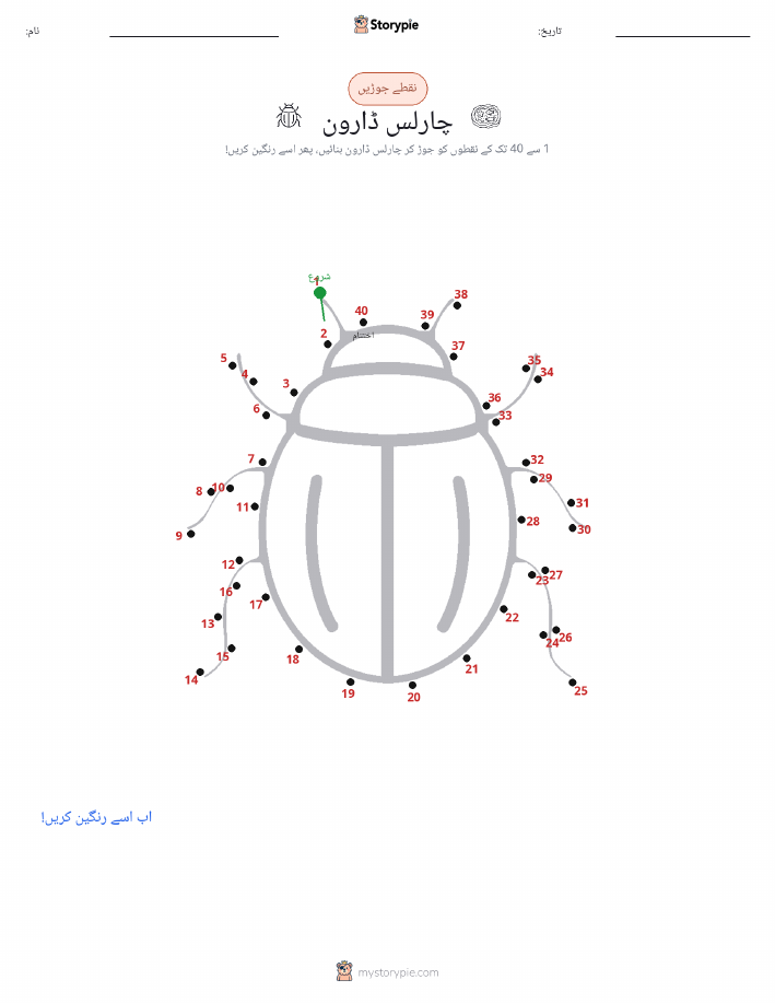 نقطے سے نقطے تک