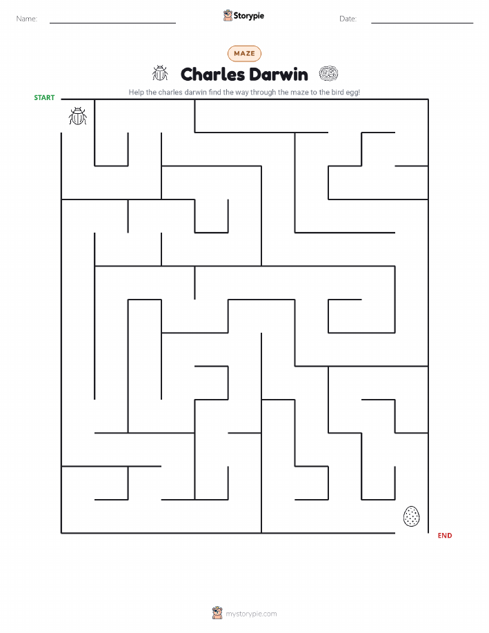 Maze