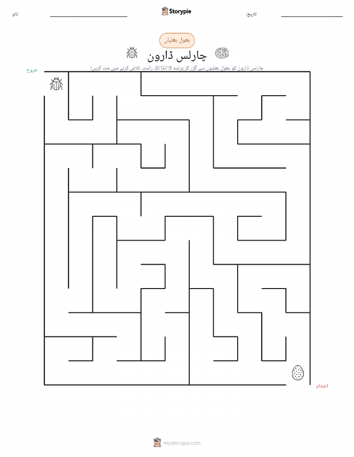 بھول بھلیاں