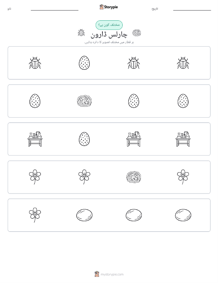 عجیب ایک