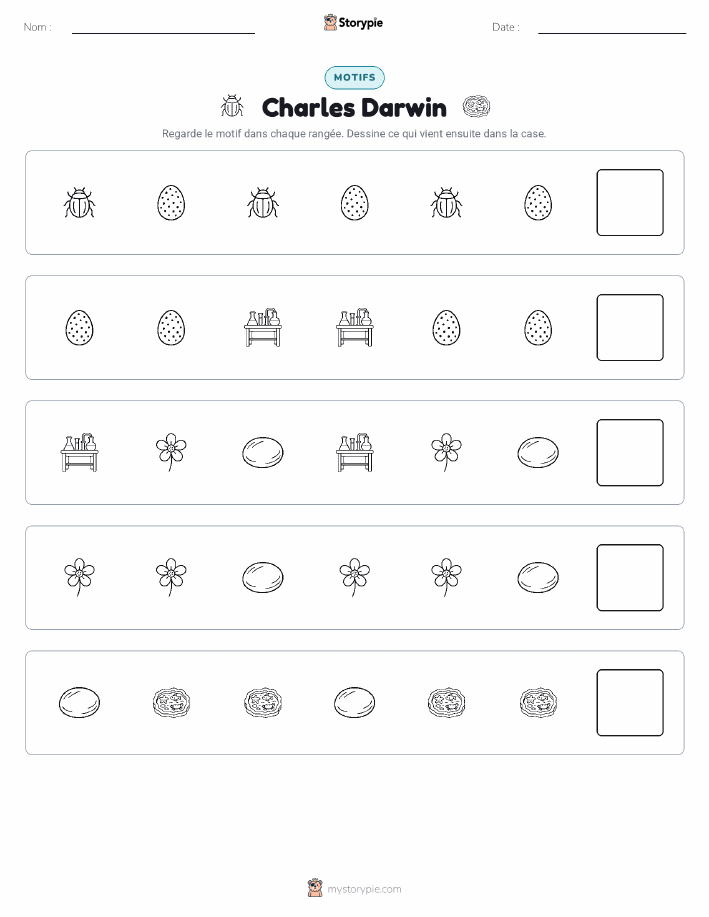 Motifs