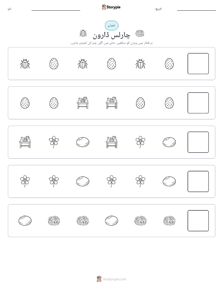 پیٹرن