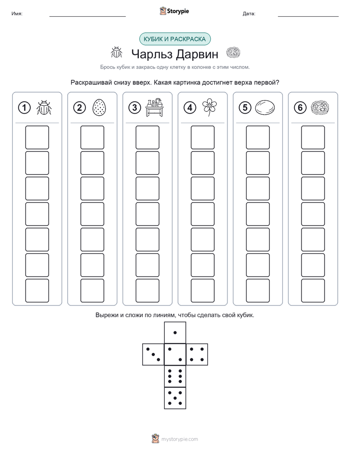 Катать и раскрашивать